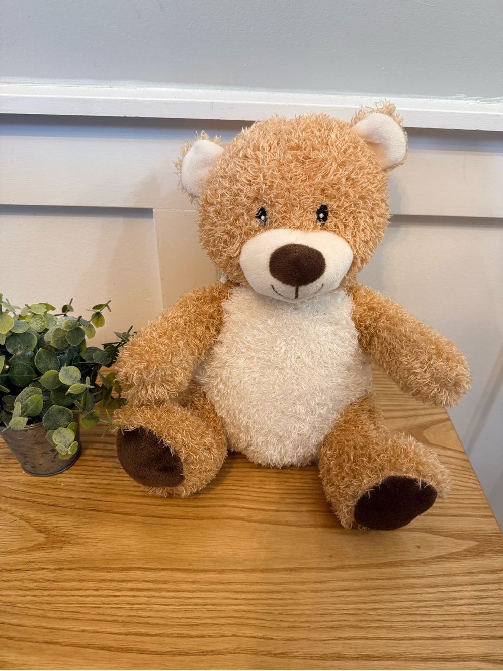 🌿4/$25 • Suzzipals Heating Pad Headed Plush Teddy Bear